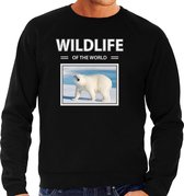 Dieren foto sweater Ijsbeer - zwart - heren - wildlife of the world - cadeau trui Ijsberen liefhebber S