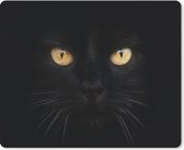 Muismat Dieren van Dichtbij - Close-up zwarte kat muismat rubber - 23x19 cm - Muismat met foto
