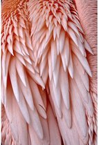 Schilderij Pink Feather, 148 x 98 cm