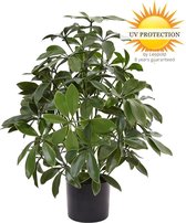 Plante tropicale artificielle Schefflera 50 cm UV extérieur