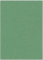 Papier cartonné 270 grs -50 x 70 cm - Vert 25 pièces