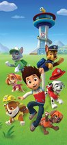 Sanders & Sanders poster PAW patrol groen, blauw en rood - 600777 - 90 x 202 cm