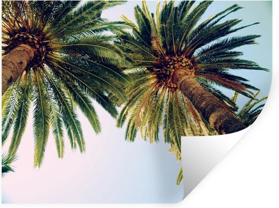 Vrijgevig Maak leven winnaar Muursticker Palmboom - Palmbomen aan de Franse Riviera - 120x90 cm -  zelfklevend... | bol.com