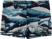 Molo UV Zwemshort jongens - Norton - Whales - maat 98-104 - 98-104cm