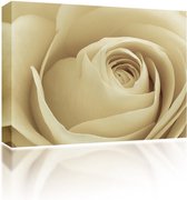 Canvas Sound Art cream rose - 23 x 28 cm
