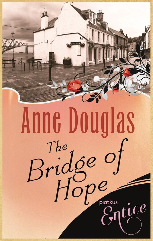 Omslag van Bridge Of Hope