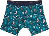 WE Fashion Heren boxershort met dessin