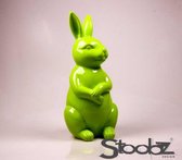 Haas lime groen 23x25x53