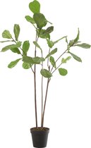 J-Line plant Vioolbladplant In Pot - kunststof - donkergroen