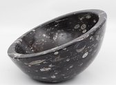 Handgemaakte marmer natuursteen waskom met Orthoceras fossielen zwart