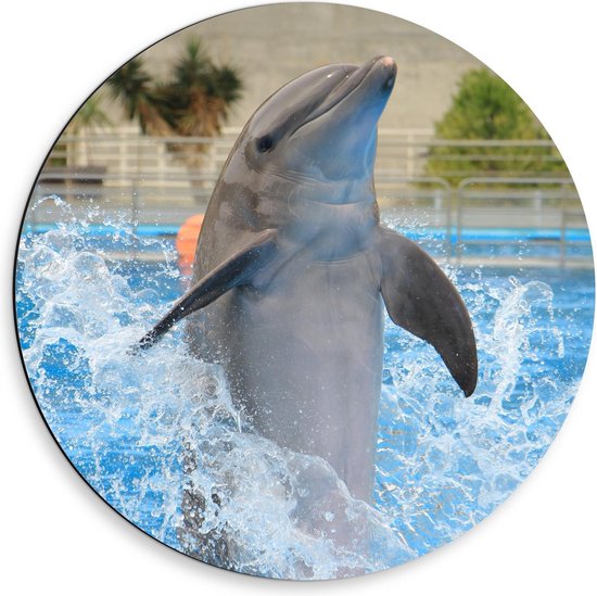 Dibond Wandcirkel - Springende Dolfijn in het Water - 50x50cm Foto op Aluminium Wandcirkel (met ophangsysteem)