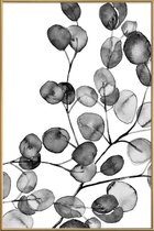JUNIQE - Poster met kunststof lijst Eucalyptus waterverf zwart-wit