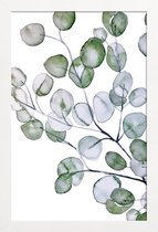 JUNIQE - Poster in houten lijst Eucalyptus aquarel -30x45 /Groen & Wit