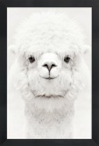 JUNIQE - Poster in houten lijst Lachende Alpaca -20x30 /Wit