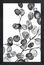 JUNIQE - Poster in houten lijst Eucalyptus waterverf zwart-wit -60x90