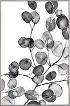 JUNIQE - Poster met kunststof lijst Eucalyptus waterverf zwart-wit