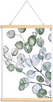 JUNIQE - Posterhanger Eucalyptus aquarel -20x30 /Groen & Wit