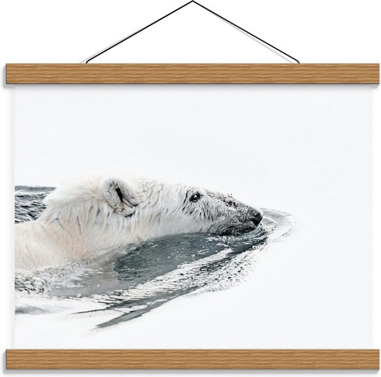 Schoolplaat - Zwemmende IJsbeer - 40x30cm Foto op Textielposter (Wanddecoratie op Schoolplaat)