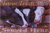 Metalen plaatje - Kalfjes - Farm Fresh Milk