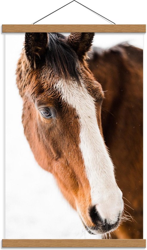 Schoolplaat – Leuk Bruin met Wit Paard - 40x60cm Foto op Textielposter (Wanddecoratie op Schoolplaat)