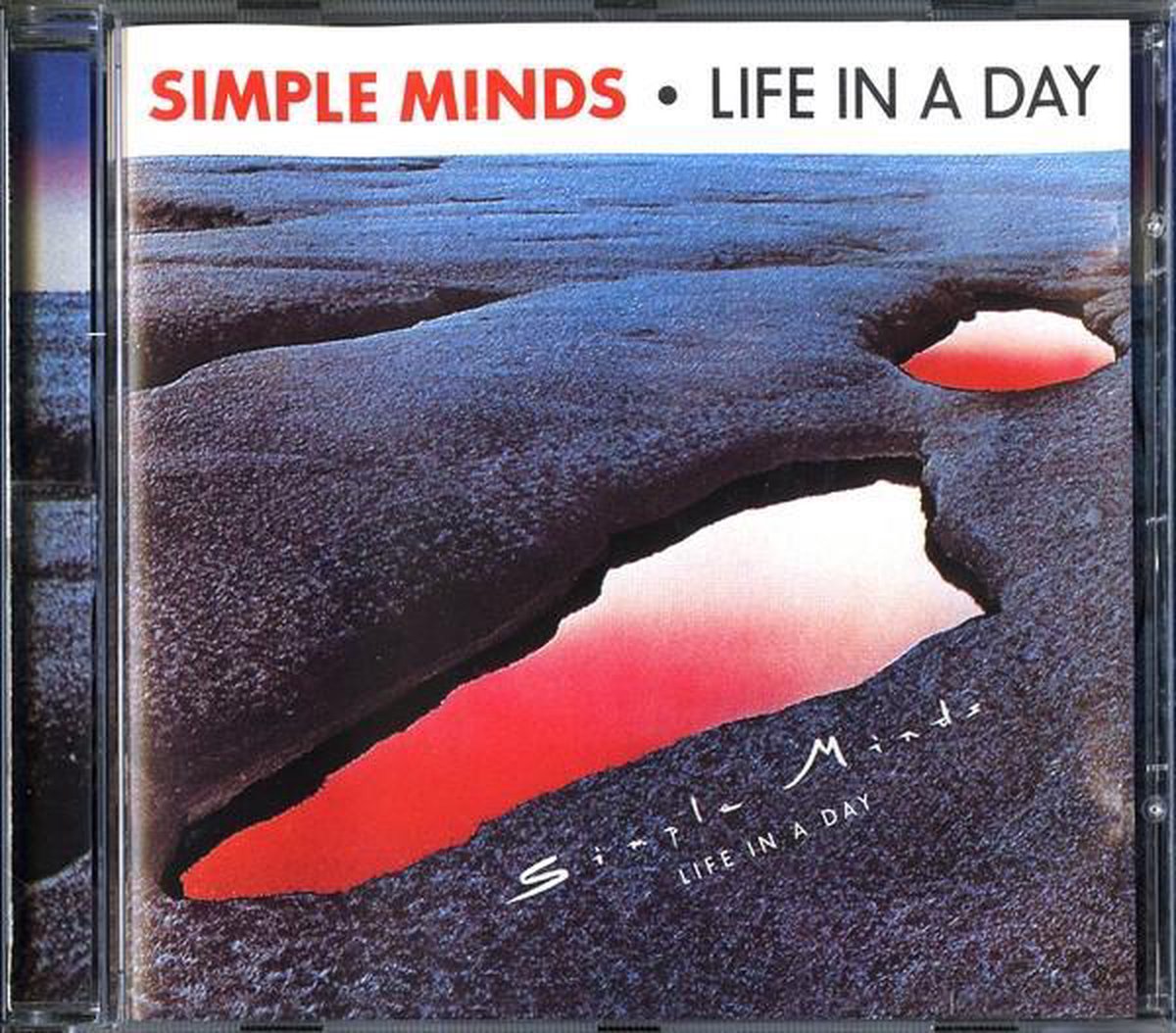 Life in a Day