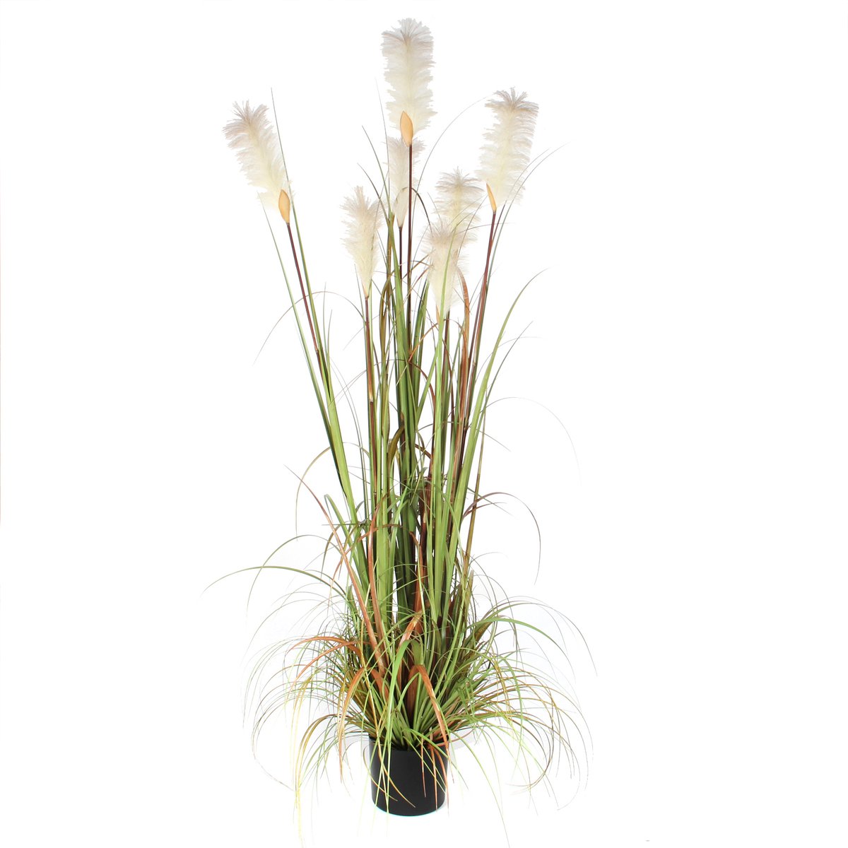Mica Decorations Pluimgras Foxtail Kunstplant - H180 x Ø80 cm - Groen
