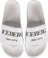 Iceberg Slides