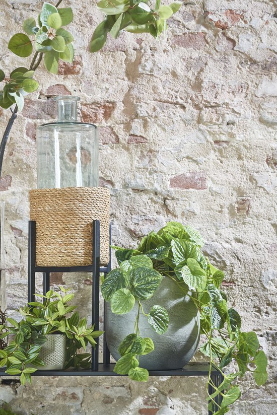 Mica Decorations bouteille guan dimensions en cm: 40x15 transparent