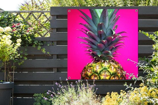 Gros plan d'un poster de jardin ananas coloré 100x100 cm - Toile de jardin / Toile d'extérieur / Peintures pour l'extérieur (décoration de jardin)
