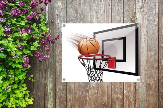 Geplooid hetzelfde Nadeel Tuin decoratie Een illustratie van een basketbal die in de basket valt -  40x30 cm | bol.com