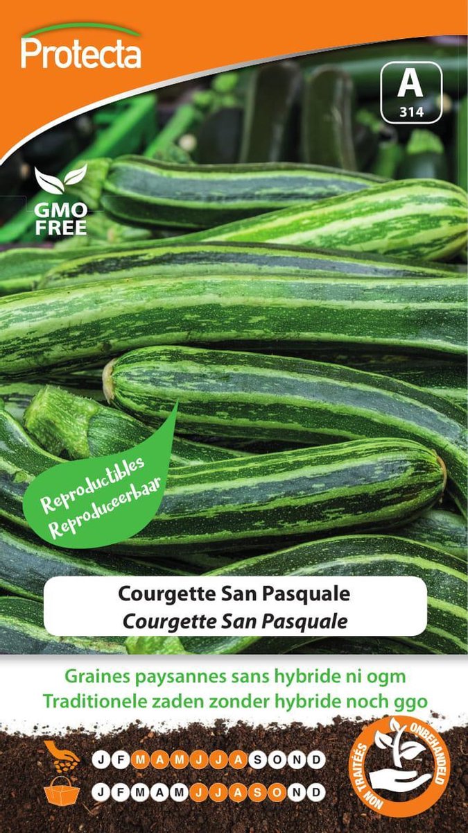Protecta Groente zaden: Courgette San Pasquale