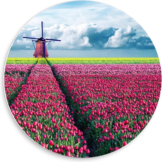 Forex Wandcirkel - Molen aan het eind van Bloemenveld - 50x50cm Foto op Wandcirkel (met ophangsysteem)