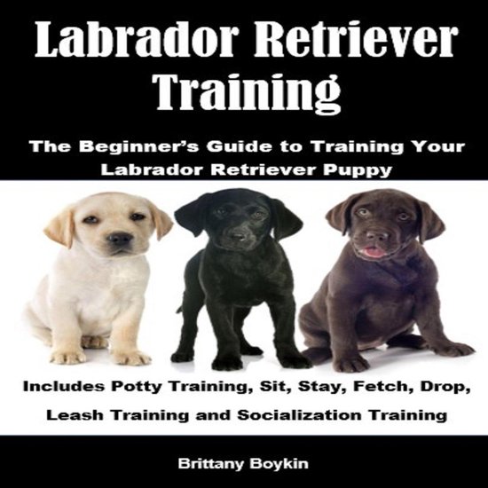 Labrador Retriever Training: The Beginner’s Guide to Train ... - cover