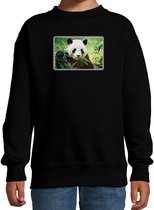 Dieren sweater met pandaberen foto - zwart - voor kinderen - natuur / panda cadeau trui - kleding / sweat shirt 3-4 jaar (98/104)