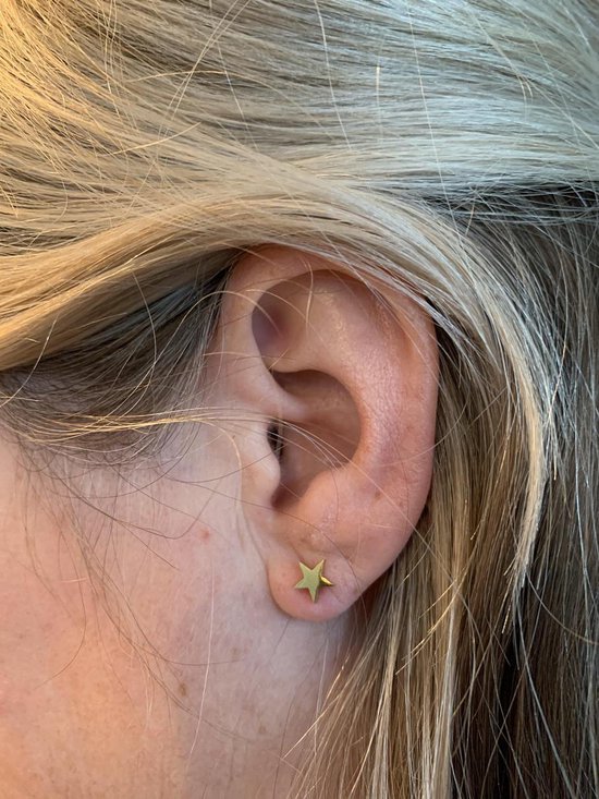 Perforatie wang Plunderen Aramat jewels ® - Zweerknopjes oorbellen ster goudkleurig chirurgisch staal  7mm | bol.com