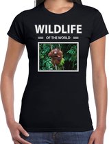 Dieren foto t-shirt Orang oetan aap - zwart - dames - wildlife of the world - cadeau shirt Orang oetans liefhebber S