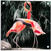 Tuinposter – Verliefde Flamingo's  - 50x50cm Foto op Tuinposter  (wanddecoratie voor buiten en binnen)