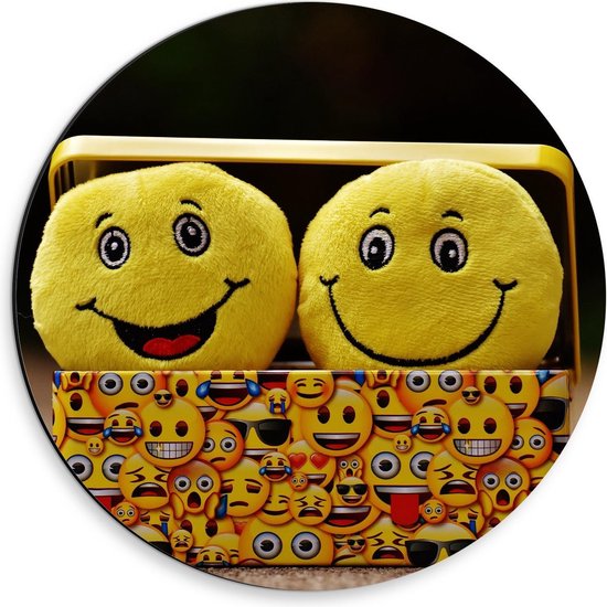 Dibond Wandcirkel - Smiley Knuffels in Bakje - 30x30cm Foto op Aluminium Wandcirkel (met ophangsysteem)