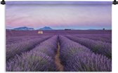 Tapisserie Lavande - Champ de lavande au coucher du soleil dans le sud de la France Tapisserie coton 90x60 cm - Tapisserie avec photo