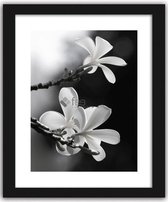 Foto in frame , Witte Plumeria ​, 70x100cm , Zwart wit  , Premium print