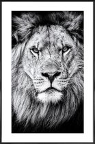 JUNIQE - Poster met kunststof lijst Leeuwenfoto -13x18 /Wit & Zwart