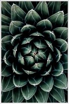 JUNIQE - Poster in kunststof lijst Cactus hart -20x30 /Groen