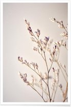 JUNIQE - Poster Purple Buds -13x18 /Bruin & Ivoor