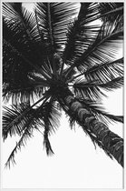 JUNIQE - Poster in kunststof lijst Propeller Palm -20x30 /Grijs & Wit