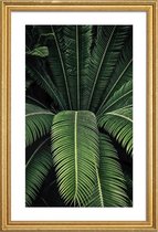 JUNIQE - Poster met houten lijst Schaduwrijke bladeren -13x18 /Groen