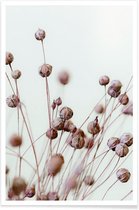 JUNIQE - Poster Poppy Heads -13x18 /Bruin & Ivoor