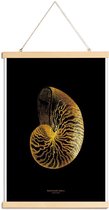 JUNIQE - Posterhanger Nautilus Shell gouden -30x45 /Goud & Zwart