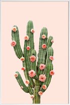 JUNIQE - Poster met kunststof lijst Cactusrozen foto -13x18 /Groen &