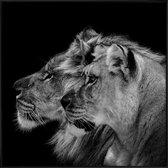 JUNIQE - Poster met kunststof lijst Leeuwenduo profiel foto -50x50