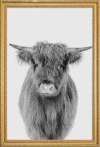 JUNIQE - Poster met houten lijst Young Highland Cow Classic -13x18